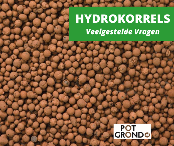 compileren dynamisch Whirlpool Veelgestelde vragen over hydrokorrels - Potgrond.nl