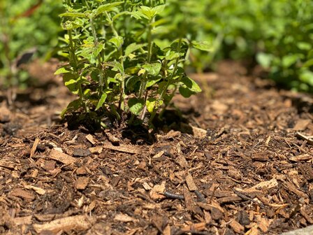 Houtmulch -2340 Liter 