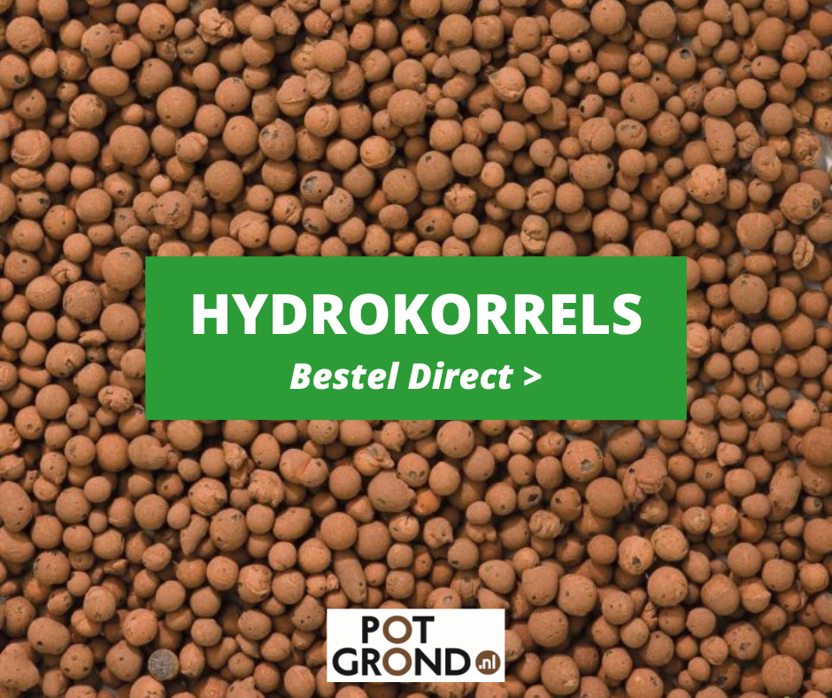 hydrokorrels-kopen