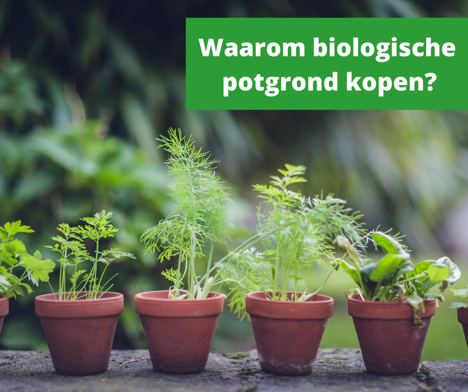 waarom-kiezen-voor-biologische-potgrond