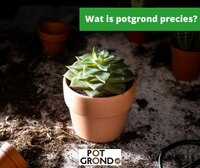 Wat is potgrond precies?