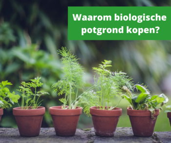 Waarom biologische potgrond kopen?