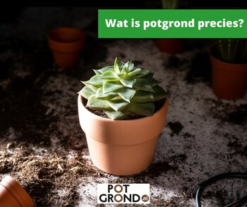 Wat is potgrond precies?