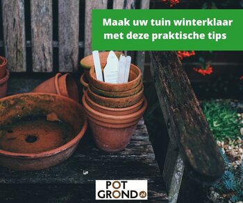 Maak uw tuin winterklaar met deze praktische tips | Najaarsonderhoud