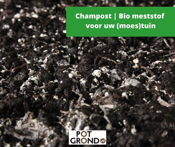 Champost | Bio meststof voor uw (moes)tuin