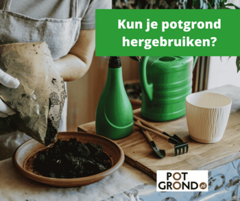 Kun je potgrond hergebruiken?