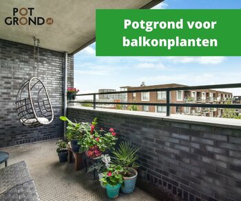 Potgrond voor balkonplanten